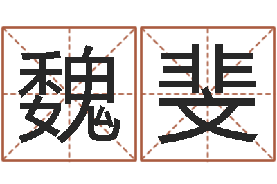 魏斐给姓崔宝宝起名字-五行对应的时辰