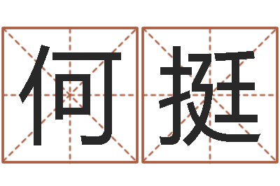何挺免费姓名八字算命-时辰对照