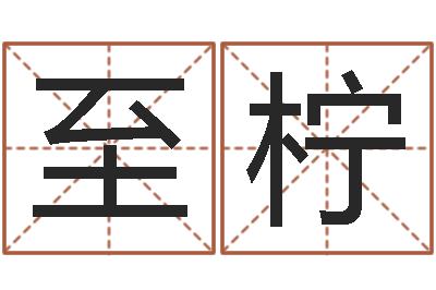 唐至柠公司名字吉凶测试-公司免费测名网