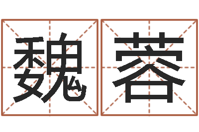 魏蓉四柱八字预测-八字入门学习