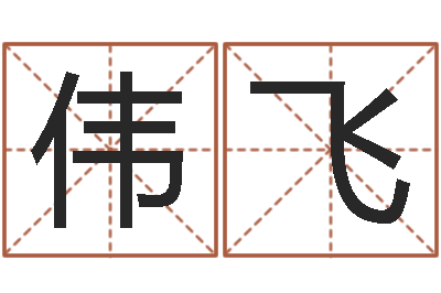 刘伟飞给小男孩取名字-投资公司名字