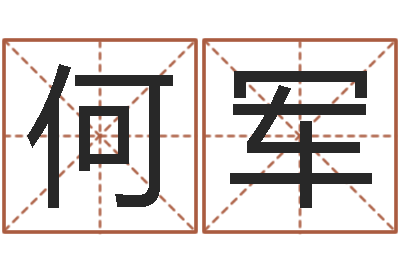 何军免费名字转运法软件-取名专家