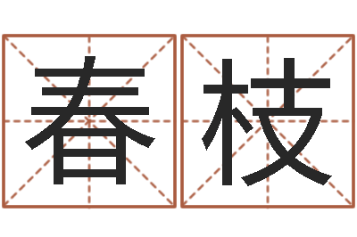 王春枝赵姓宝宝起名字大全-周易之争