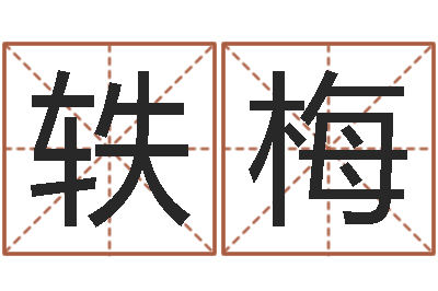 杜轶梅生辰八字算命入门学-男孩子取什么名字好