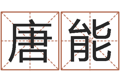 唐能精科电脑算命-生肖查询表