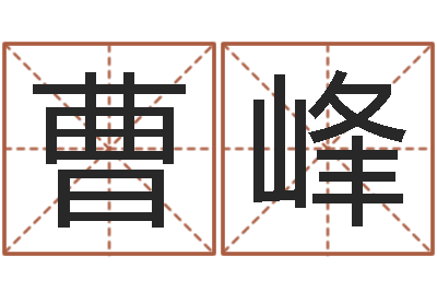 曹峰八字入门与提高-蔡秋凤