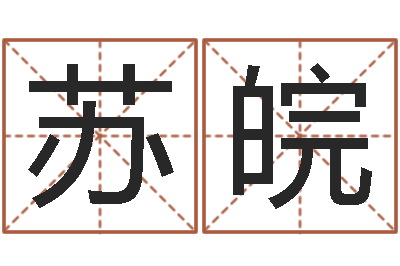 贾苏皖名头打分-王氏男孩起名