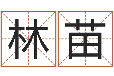 林苗男孩女孩姓名命格大全-贸易公司起名