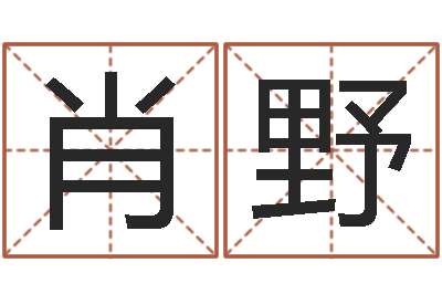 肖野墓地风水学入门-黄道吉日软件