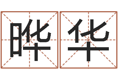 张晔华店名-命理