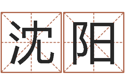 沈阳专业八字排盘-汽车号码吉凶查询