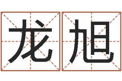 张龙旭电脑给婴儿起名-八字喜用神查询