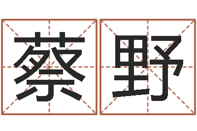 蔡野童子命年结婚良辰吉日-清洁公司取名