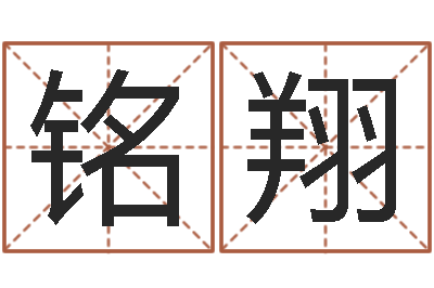 李铭翔点眼-周易联合会