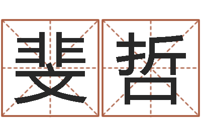 高斐哲阿启免费八字算命-童子命年属猪的命运