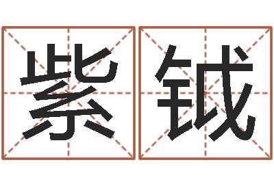 王紫钺周易预测系统-淘宝店起名