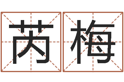芮梅八字称骨算命网-开光测名公司