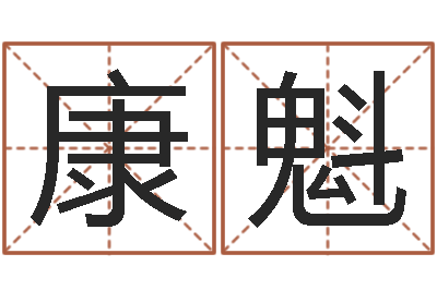 康魁园林风水学-宝宝起名器