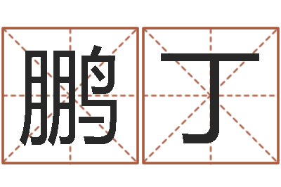 陈鹏丁四字起名-周易测姓名