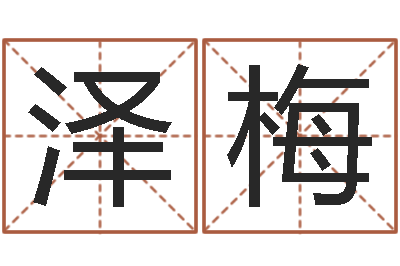王泽梅公司名字网-江西瓷都取名算命