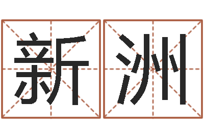 曹新洲免费孩子起名-姓金男孩子名字大全