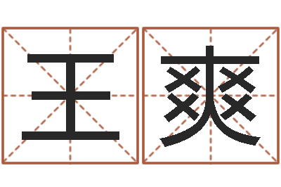 王爽解析生辰八字-之人