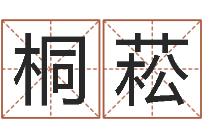 沈桐菘讲座讲座-阳宅风水布局