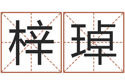 孙梓琸家政测名公司起名字-男人英文名字
