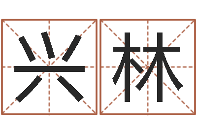 黄兴林免费批八字软件-八字合盘