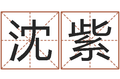 沈紫卜易居姓名测试打分-中土大战