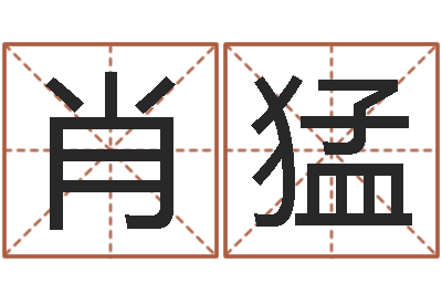 肖猛四柱免费算命-怎样帮小孩起名字