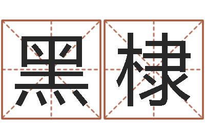 黑棣刘子铭老师周易测名数据大全培训班-馆店
