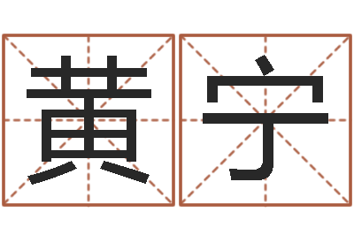 黄宁起名姓名学-周易免费算卦