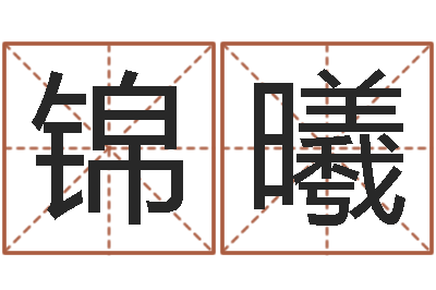 刘锦曦四柱预测学入门讲座-名字笔画测试