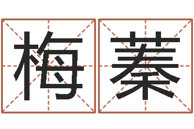赵梅蓁婴儿名字命格大全男孩-鼠宝宝取名