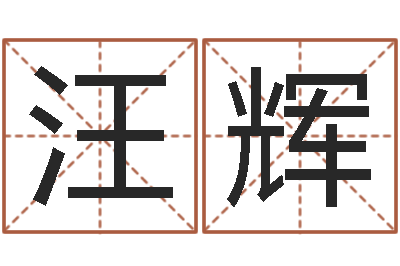 汪辉张姓宝宝起名字-北京起名公司