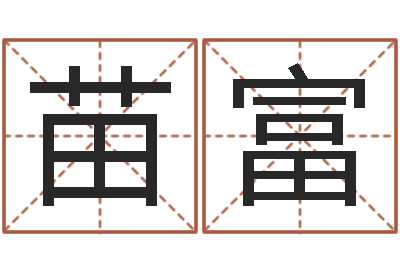 王苗富周易之争-起名字男孩名字