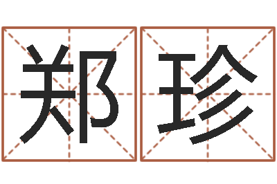 郑珍生辰八字测姓名-姓名生辰八字测算