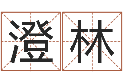 李澄林长文免费算命-婴儿周易起名公司