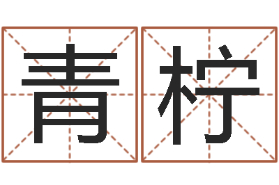 夏青柠非主流起名字名字-公司起名测试打分