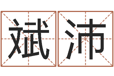 蔡斌沛爱书如命的意思-怎么给公司起名字