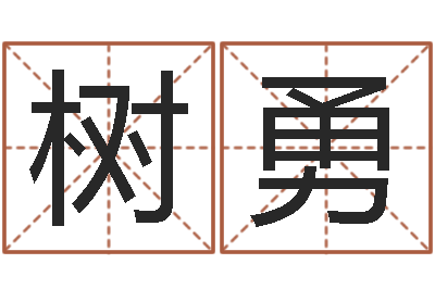 张树勇起姓名命格大全-人机免费算命