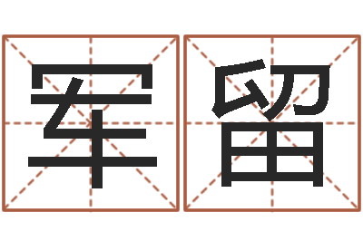 王军留四柱排盘系统-女孩起什么名字好听