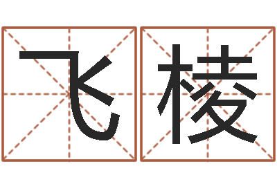刘飞棱免费起名取名测名打分-店铺起名