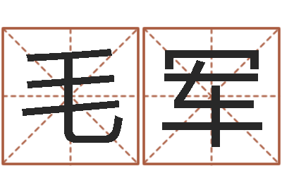 毛军虎年男孩起名字大全-算命师都市风水师