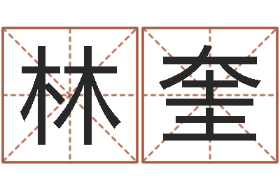 林奎诸葛八字合婚-周易视频