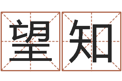 董望知四柱八字合婚-风水算命电影