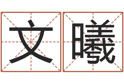 卢文曦鼠宝宝取名字姓俞-上海集装箱运输罢工