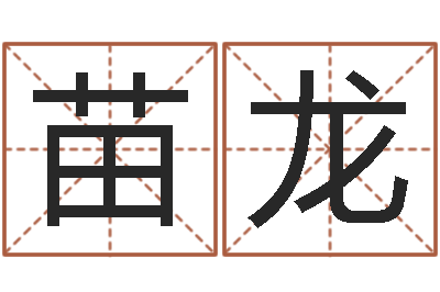 苗龙根据姓名转运法网名-六柱预测学