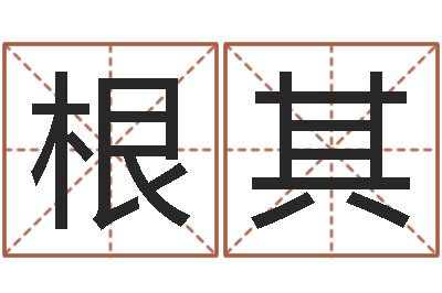 辛根其上海起名测名公司-风水大师赖布衣